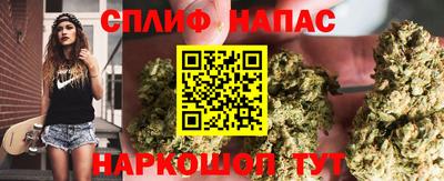 ALPHA PVP Камышлов