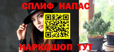 ALPHA PVP Камышлов