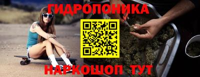 apvp Канаш