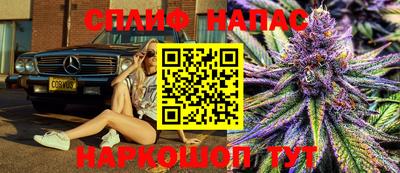 молекула духа Кандалакша