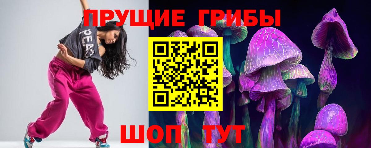Псилоцибиновые грибы GOLDEN TEACHER  Галлюциногенные грибы Psilocybe  дарнет шоп  Владимир  Вход с VPN 